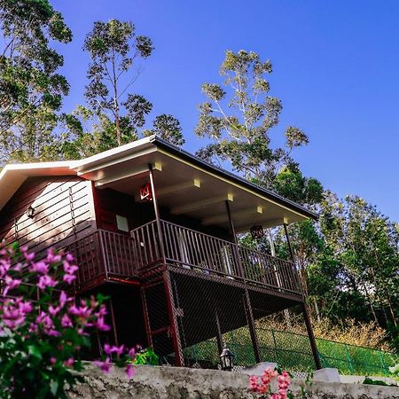 Wild Orchid Eco Tourism Munnar Bagian luar foto
