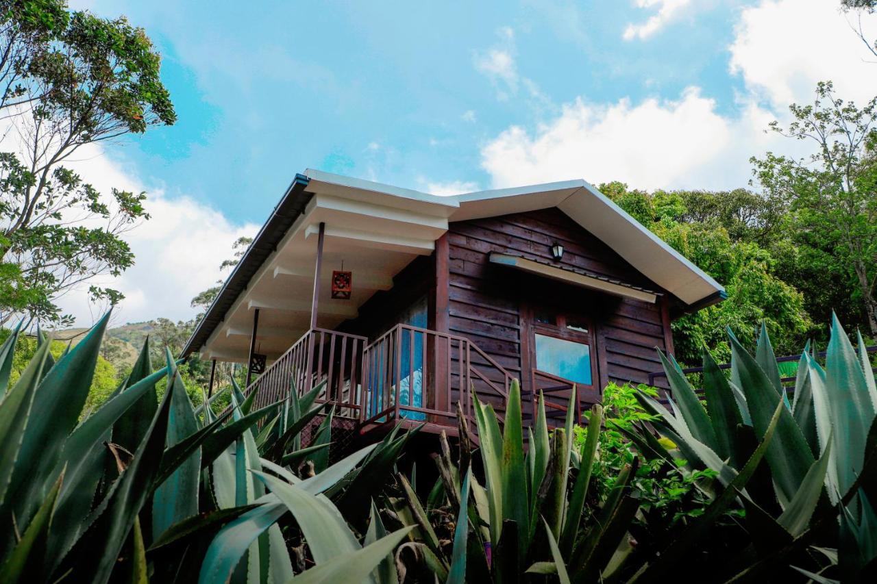 Wild Orchid Eco Tourism Munnar Bagian luar foto