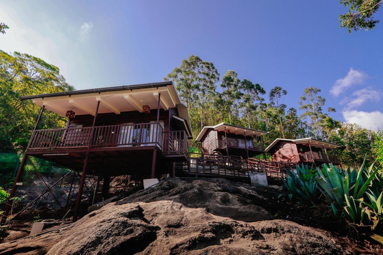 Wild Orchid Eco Tourism Munnar Bagian luar foto
